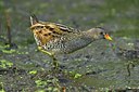 BUITEN BEELD Foto: 67816