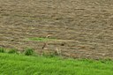 BUITEN BEELD Foto: 67832