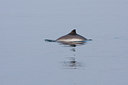 BUITEN BEELD Foto: 67880