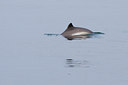 BUITEN BEELD Foto: 67883