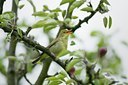 BUITEN BEELD Foto: 67889