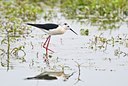 BUITEN BEELD Foto: 67893