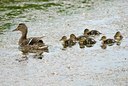 BUITEN BEELD Foto: 67931