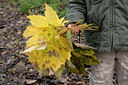 BUITEN BEELD Foto: 67949