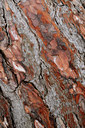 BUITEN BEELD Foto: 67969