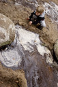 BUITEN BEELD Foto: 68082