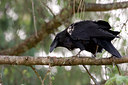 BUITEN BEELD Foto: 68131