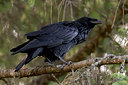 BUITEN BEELD Foto: 68133