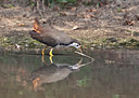 BUITEN BEELD Foto: 68151