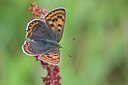 BUITEN BEELD Foto: 68228