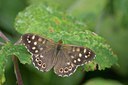 BUITEN BEELD Foto: 68244