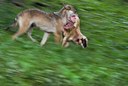 BUITEN BEELD Foto: 68254