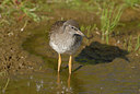 BUITEN BEELD Foto: 68337