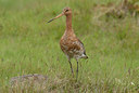 BUITEN BEELD Foto: 68348