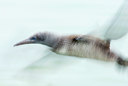 BUITEN BEELD Foto: 68361
