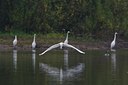 BUITEN BEELD Foto: 68396