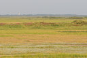 BUITEN BEELD Foto: 68434
