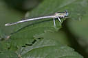 BUITEN BEELD Foto: 68472