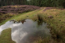 BUITEN BEELD Foto: 68559