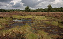 BUITEN BEELD Foto: 68566