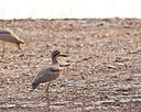 BUITEN BEELD Foto: 68578