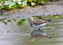 BUITEN BEELD Foto: 68582