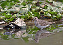 BUITEN BEELD Foto: 68583