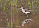 BUITEN BEELD Foto: 68588