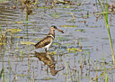BUITEN BEELD Foto: 68595