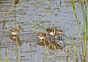 BUITEN BEELD Foto: 68597