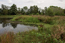 BUITEN BEELD Foto: 68639