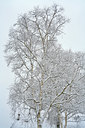 BUITEN BEELD Foto: 68662