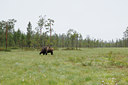 BUITEN BEELD Foto: 68684