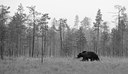 BUITEN BEELD Foto: 68686