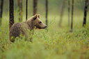 BUITEN BEELD Foto: 68700