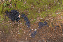BUITEN BEELD Foto: 68711