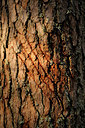 BUITEN BEELD Foto: 68713
