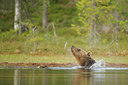 BUITEN BEELD Foto: 68716