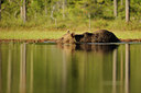 BUITEN BEELD Foto: 68720