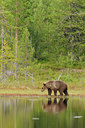 BUITEN BEELD Foto: 68736