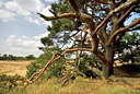 BUITEN BEELD Foto: 68779