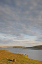 BUITEN BEELD Foto: 68788