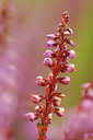 BUITEN BEELD Foto: 68911