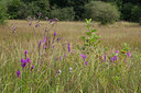 BUITEN BEELD Foto: 68923