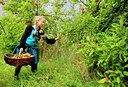 BUITEN BEELD Foto: 68956