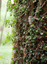 BUITEN BEELD Foto: 68962