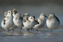 BUITEN BEELD Foto: 6058