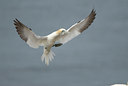 BUITEN BEELD Foto: 6223