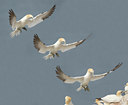 BUITEN BEELD Foto: 6228