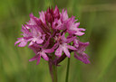 BUITEN BEELD Foto: 6320